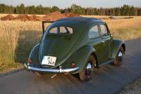 VW K&auml;fer 1200, 1954, 30PS_3